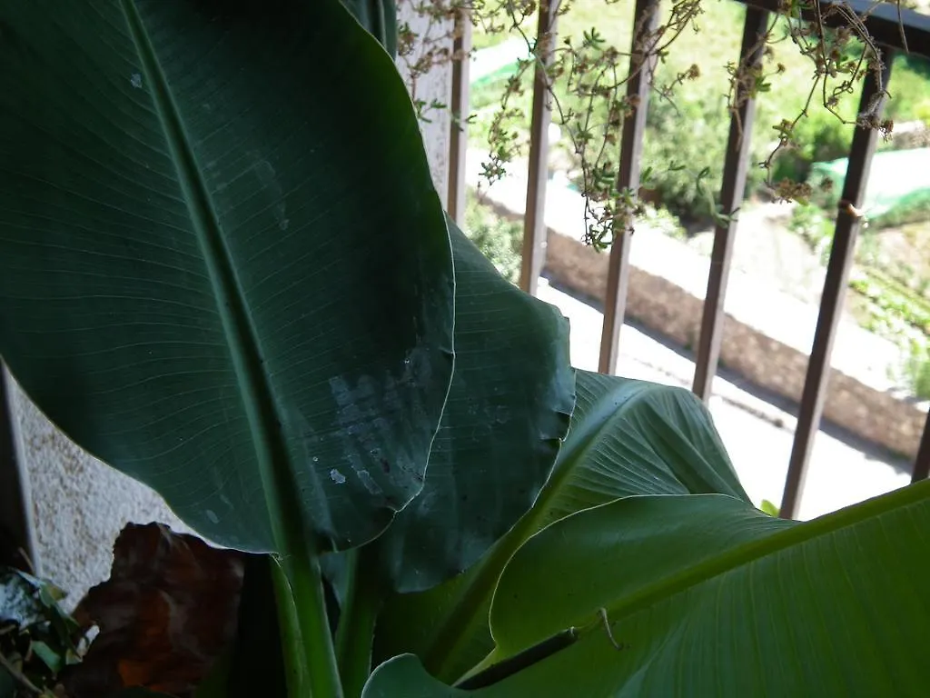 Casa Catharina Bed & Breakfast La Seu d'Urgell